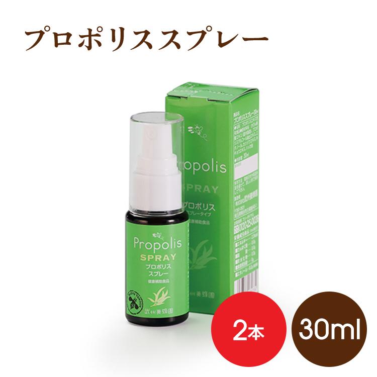 ミッチーさま専用です。 プロポ蜂蜜 300g2本 アレクリングリーンプロポリス ITEM | ハニーワールド STORE