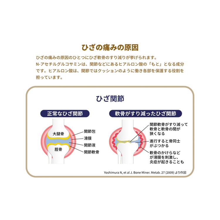 ★楽々サポート　Ｎ−アセチルグルコサミン |  | 15