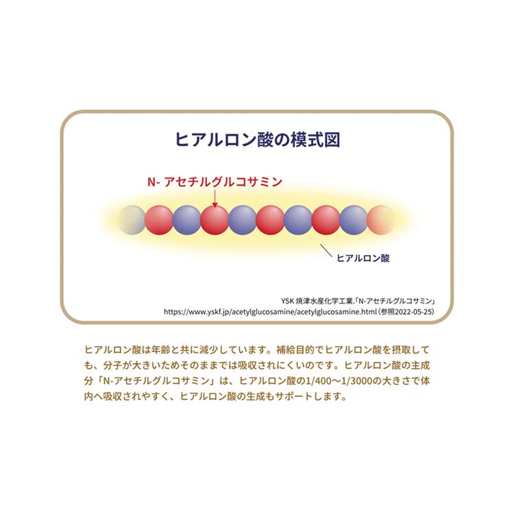 ★楽々サポート　Ｎ−アセチルグルコサミン |  | 16