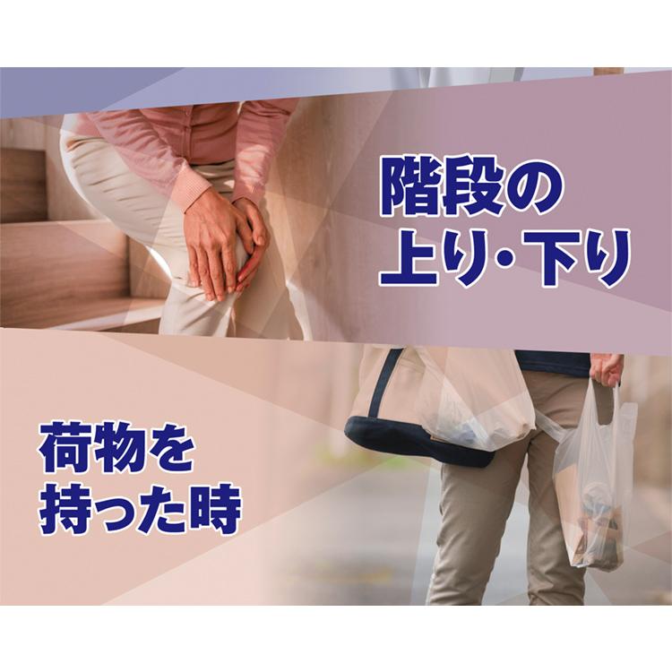 ★楽々サポート　Ｎ−アセチルグルコサミン |  | 03