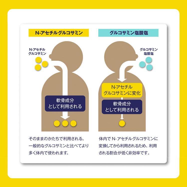 ★楽々サポート　Ｎ−アセチルグルコサミン |  | 06