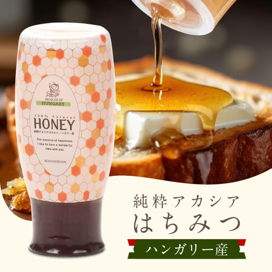 ハンガリー産 純粋アカシア蜂蜜500gスタンドボトル はちみつ ハチミツ