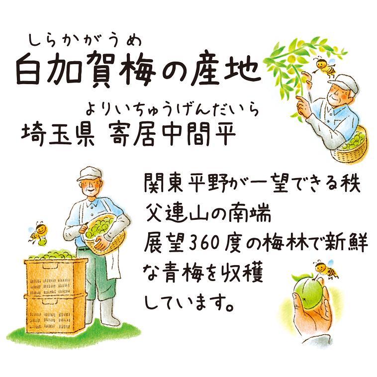 爆買い はちみつ漬け 蜂蜜漬梅エキス 黒酢入り 360g 無香料 健康飲料 黒酢ドリンク はちみつ黒酢 梅 うめ ウメ はちみつ ハチミツ 蜂蜜 武州養蜂園 Materialworldblog Com