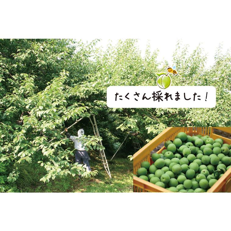 はちみつ漬け 蜂蜜漬梅エキス 黒酢入り 360g 無香料 健康飲料 黒酢ドリンク はちみつ黒酢 梅 うめ ウメ はちみつ ハチミツ 蜂蜜 武州養蜂園 |  | 06