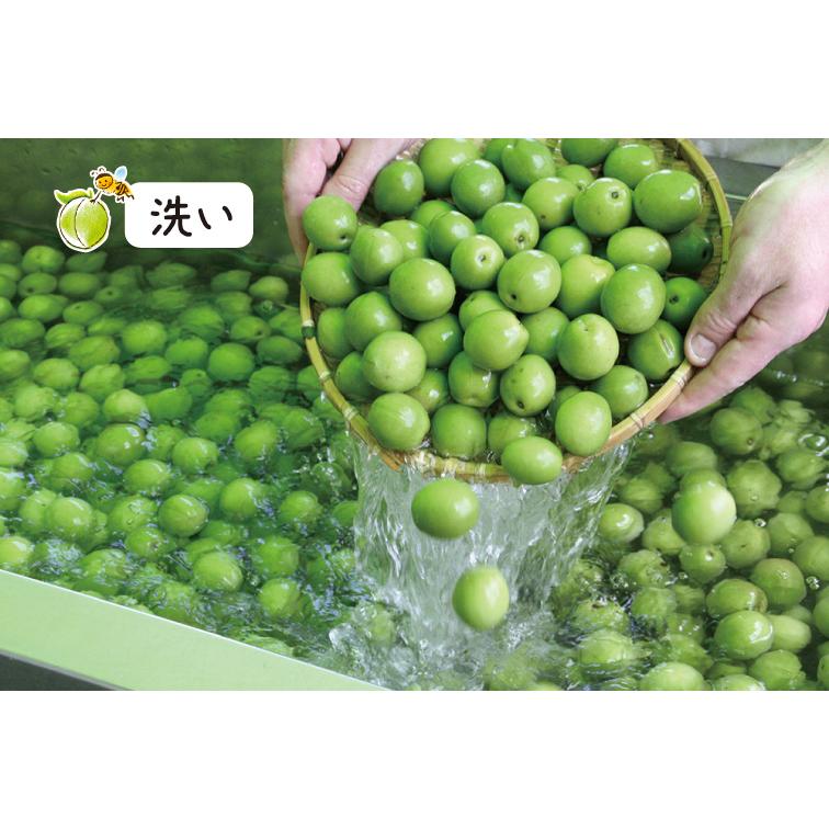 はちみつ漬け 蜂蜜漬梅エキス 黒酢入り 360g 無香料 健康飲料 黒酢ドリンク はちみつ黒酢 梅 うめ ウメ はちみつ ハチミツ 蜂蜜 武州養蜂園 |  | 08
