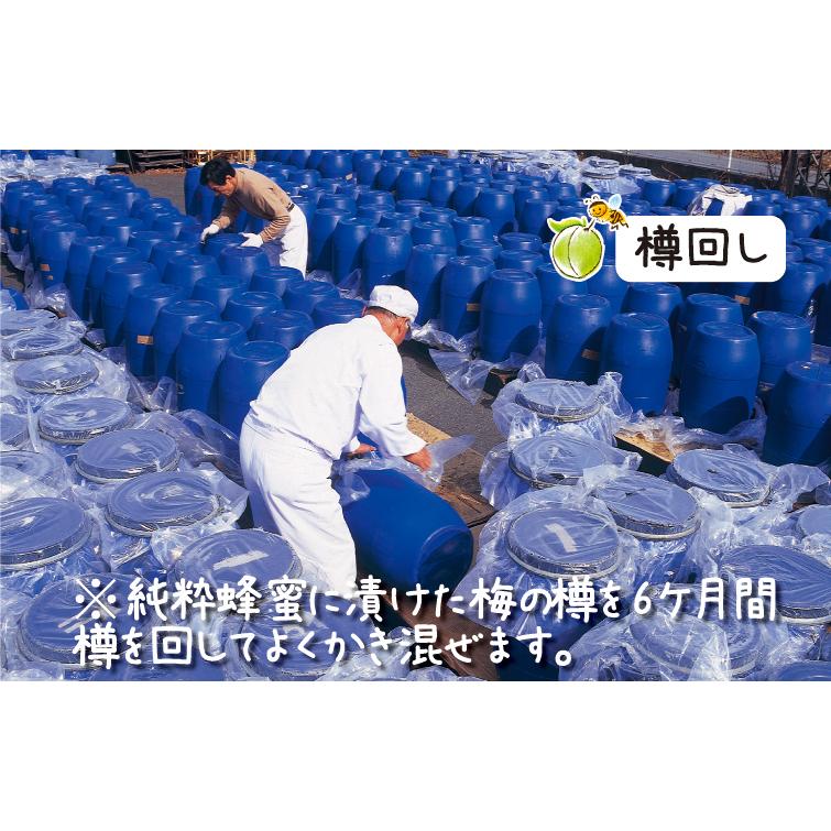 はちみつ漬け 蜂蜜漬梅エキス 黒酢入り 360g 無香料 健康飲料 黒酢ドリンク はちみつ黒酢 梅 うめ ウメ はちみつ ハチミツ 蜂蜜 武州養蜂園 |  | 09
