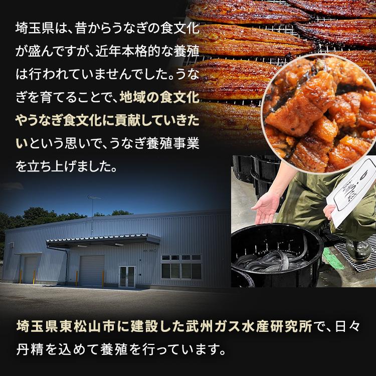 【ご自宅用大容量】 武州うなぎ 刻み 丑の日 50g×10個セット計500g 冷凍真空パック うなぎ50g 別添たれ山椒10個 国産 蒲焼 鰻 ギフト うなぎ 小分け 訳あり |  | 10