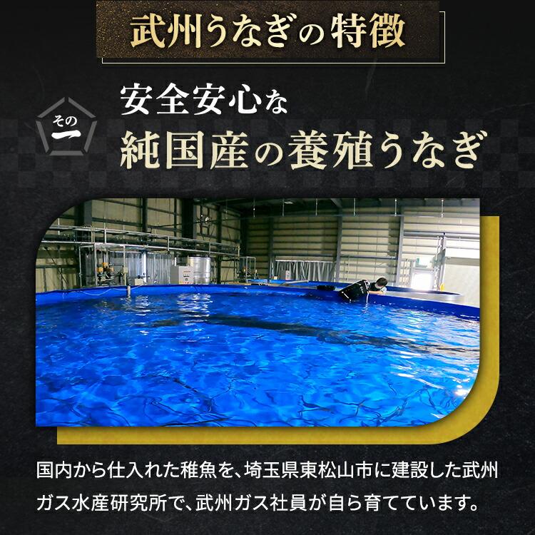武州うなぎ 母の日 国産 蒲焼 (特大) 3尾 1尾約170g(168g~197g) 誕生日 プレゼント うなぎ ギフト 鰻 国産うなぎ うなぎのかば焼き 贈り物 川越 国産ギフト 土用_4