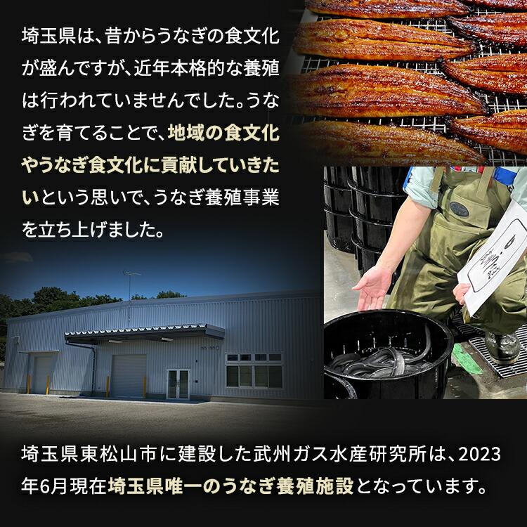 武州うなぎ 母の日 国産 蒲焼 (特大) 3尾 1尾約170g(168g~197g) 誕生日 プレゼント うなぎ ギフト 鰻 国産うなぎ うなぎのかば焼き 贈り物 川越 国産ギフト 土用_9