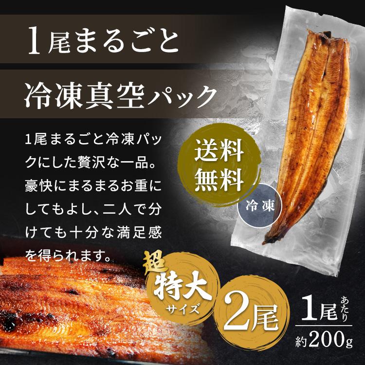 武州うなぎ 母の日 国産 蒲焼 (超特大) 2尾 約200g(198g~)以上の大きさ全て含むお楽しみサイズ プレゼント 鰻 ギフト うなぎ うなぎの蒲焼き 国産ギフト 土用丑_14