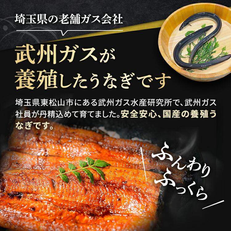 武州うなぎ 母の日 国産 蒲焼 (超特大) 2尾 約200g(198g~)以上の大きさ全て含むお楽しみサイズ プレゼント 鰻 ギフト うなぎ うなぎの蒲焼き 国産ギフト 土用丑_2