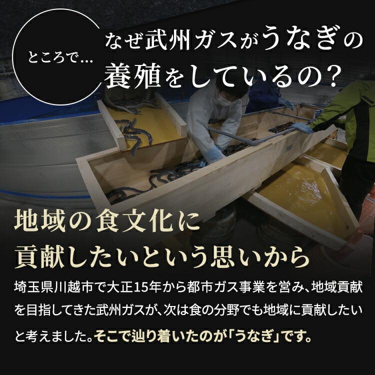 武州うなぎ 母の日 国産 蒲焼 (超特大) 2尾 約200g(198g~)以上の大きさ全て含むお楽しみサイズ プレゼント 鰻 ギフト うなぎ うなぎの蒲焼き 国産ギフト 土用丑_8