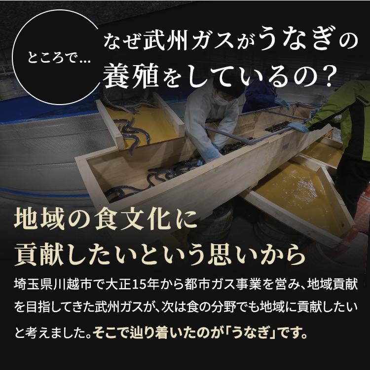 武州うなぎ 丑の日 国産 うなぎちまき 3個セット 武州うなぎと国産のもち米を使用 誕生日 プレゼント うなぎ 鰻 ギフト うなぎの蒲焼き 国産ギフト 川越 贈り物 |  | 08
