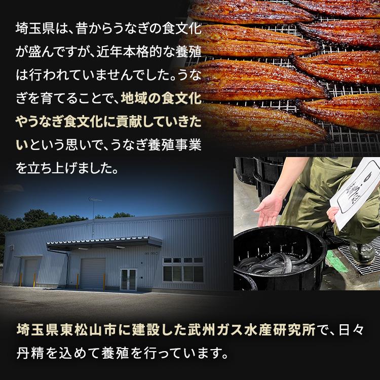 武州うなぎ 丑の日 国産 うなぎちまき 3個セット 武州うなぎと国産のもち米を使用 誕生日 プレゼント うなぎ 鰻 ギフト うなぎの蒲焼き 国産ギフト 川越 贈り物 |  | 09