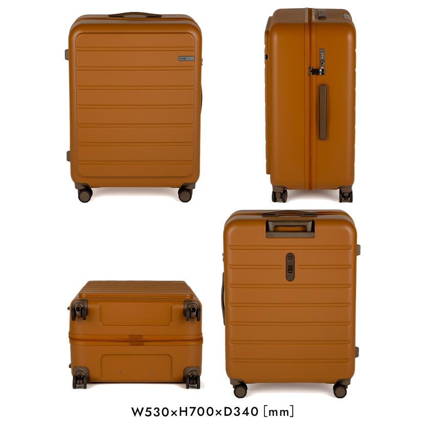 Ace（エース） フレットボード スーツケース 100L Lサイズ XL 受託無料