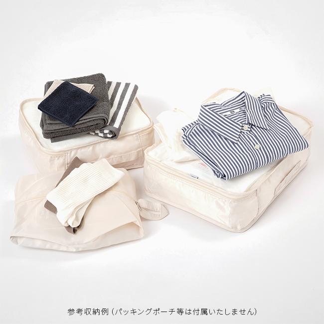 エース スーツケース 機内持ち込み Sサイズ 32L/40L 軽量 小型 小さめ 拡張機能 出張 ブランド リミニ フラミニア ace RIMINI FLAMINIA 05121の画像