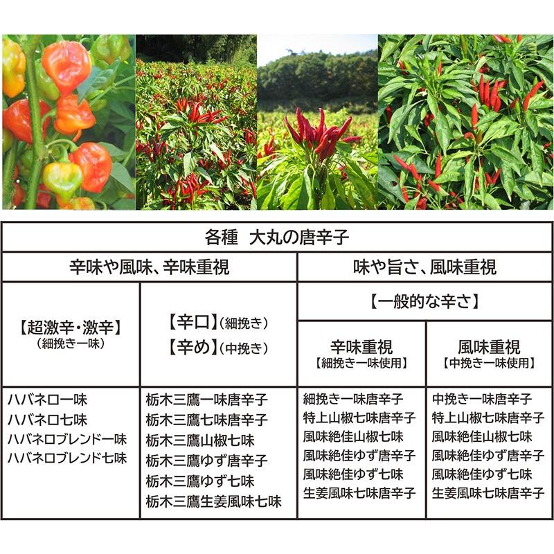 超激辛 全7種類から選べる ハバネロ 一味唐辛子 七味唐辛子 選べる2袋 Daimaru60a 物産展グルメ 通販 Yahoo ショッピング