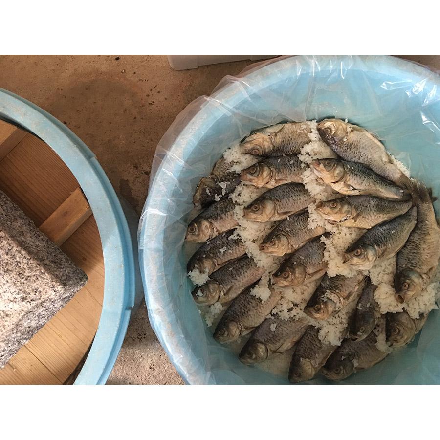 鮒ずし 鮒寿司ミニ6パックセット（簡易包装）鮒味（ふなちか）_6