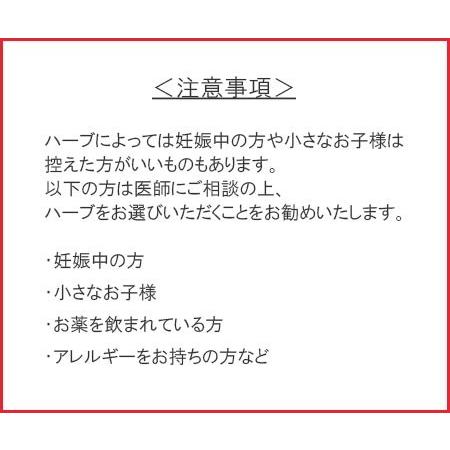 オーガニック ハーブティー ハイビスカスティー ハイビスカス ローゼル 40g 有機栽培 無農薬 Herb No09 物産展グルメ 通販 Yahoo ショッピング