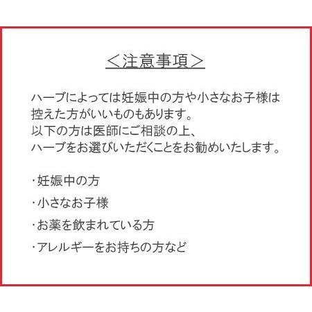 オーガニック ハーブティー セントジョーズワート 30g 有機栽培（無農薬）｜bussan10｜03