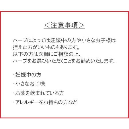 オーガニック ハーブティー ヒース 10g 有機栽培（無農薬） 無添加｜bussan10｜02