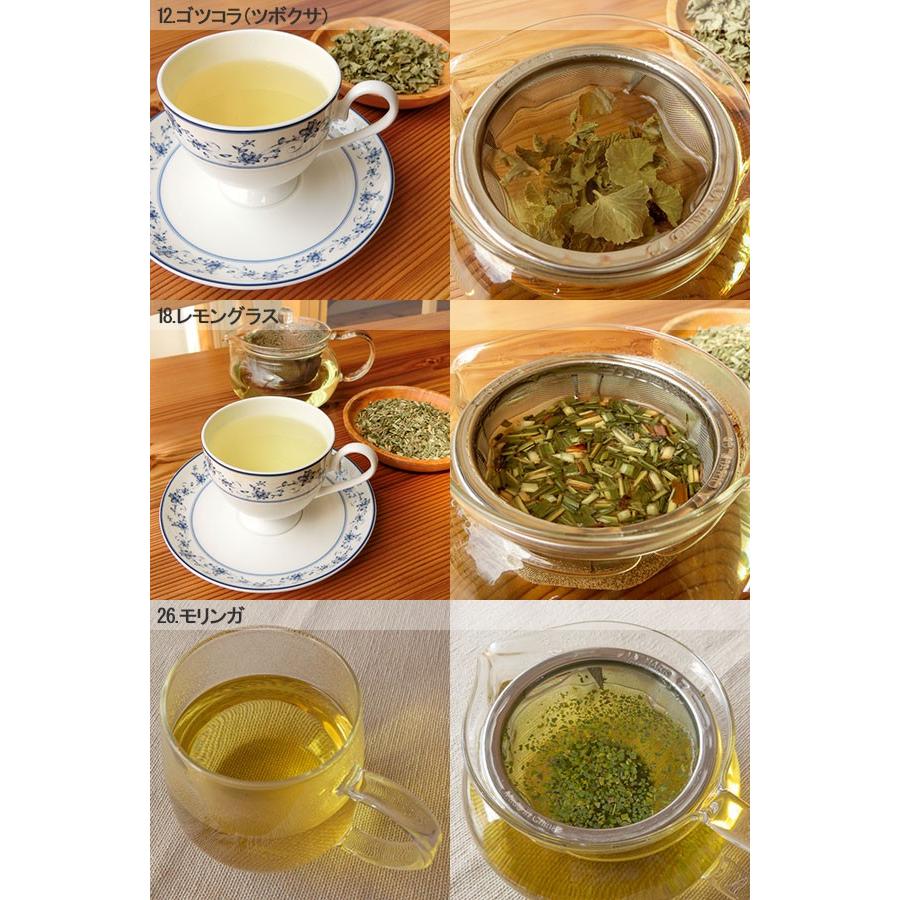 全46種 有機 オーガニック ハーブティー 3種 飲み比べセット ハーブ 無農薬 ノンカフェイン Herb01物産展グルメ 通販 