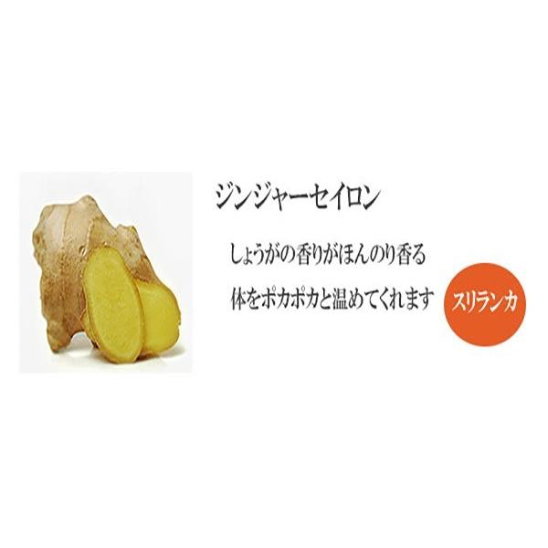 ジンジャーセイロン 生姜茶 60包 おいしい紅茶シリーズ JAF TEA 紅茶 送料無料 ティーバッグ しょうが｜bussan10｜02