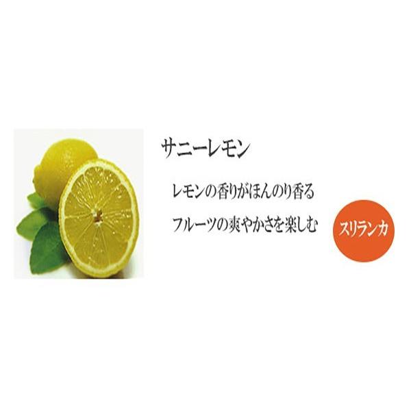 サニーレモン 60包 おいしい紅茶シリーズ JAF TEA 紅茶 送料無料 ティーバッグ フレーバーティー｜bussan10｜02