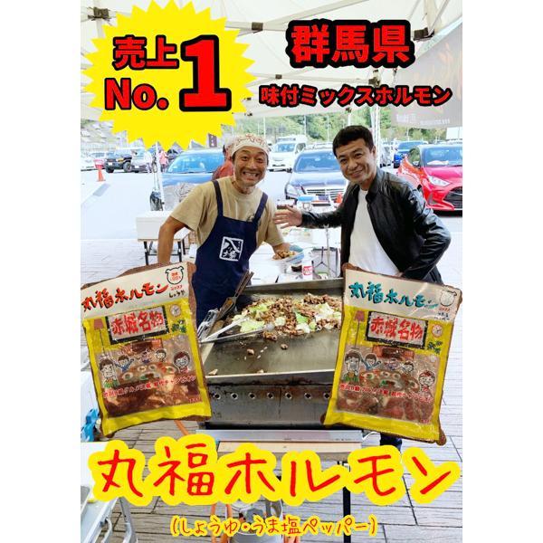 国産 豚ホルモン 焼肉 丸福ホルモン 業務用1kg×2個「しょうゆ味」「うま塩ペッパー」選べる 食べ比べセット 菊脂（キクアブラ）バーベキュー 肉 ホルモン焼き｜bussan10｜08