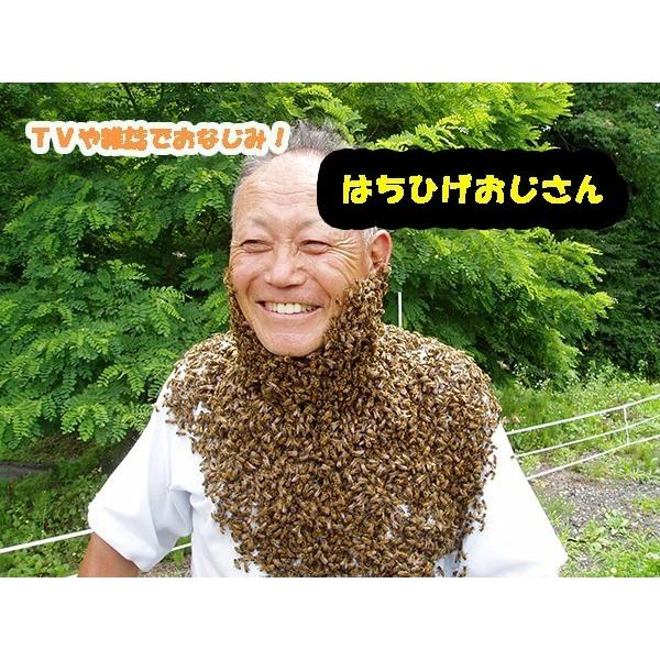 トチ 蜂蜜　国産 はちみつ　ハチミツ　ポリ容器　250g　荻原養蜂園 栃蜂蜜｜bussan10｜03