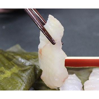 マダラ 真鱈 昆布締め刺身 Okuda Konbujime01 物産展グルメ 通販 Yahoo ショッピング