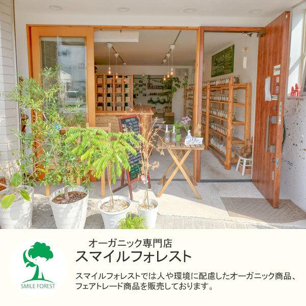 マサラチャイ 茶葉 50g 有機 オーガニック 本場インド産 チャイティー