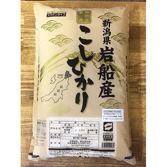 コシヒカリ 新米 令和7年産 新潟県 岩船産コシヒカリ 5kg ギフト 化粧
