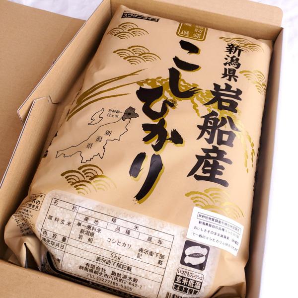 コシヒカリ 新米 令和7年産 新潟県 岩船産コシヒカリ 5kg ギフト 化粧