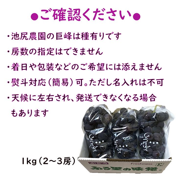 福岡県産 巨峰 1kg 池尻農園 ハウス栽培 久留米市 田主丸 お中元 お盆