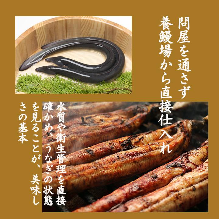 鰻 せいろ蒸し (2食入) うなぎの富貴 福岡 柳川 国産 うなき 土用丑の日 お中元 2026 福よかマーケット : 福岡グルメと工芸 福 ...