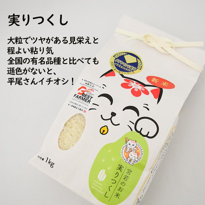 新米 食べ比べ 3kg 福岡県宮若市産 千石屋 夢つくし 元気つくし 実り