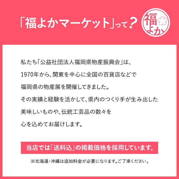 一栄の粗挽き柚子胡椒　65ｇ瓶×3本（青2本・赤1本）居食屋一栄 九州 福岡 お取り寄せ グルメ 福よかマーケット｜bussanfukuoka｜02