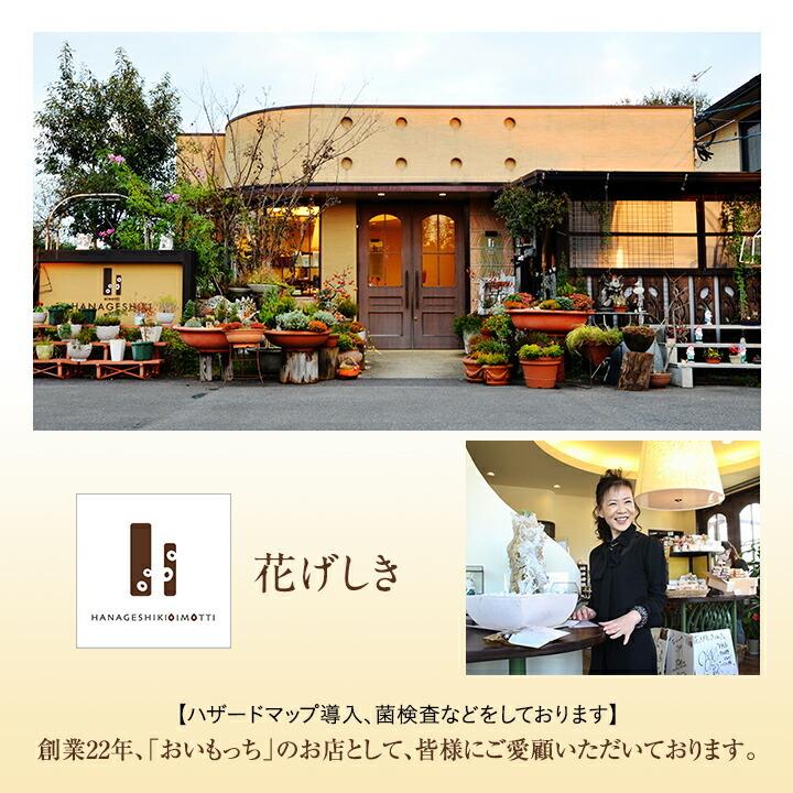 スイートポテト チーズケーキ 「おいもっち＆抹茶っち」 花げしき スイーツ バレンタイン ギフト 70代 80代 福よかマーケット 爆買 |  | 06