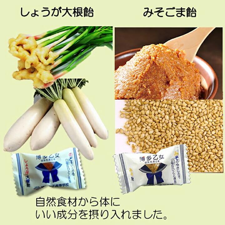 博多乙女 12袋セット(しょうが大根6 みそごま6) 博多女子高校企画開発【送料無料】はかた本舗 九州 福岡 お取り寄せ 福岡県よかもんシ… 爆買 |  | 01
