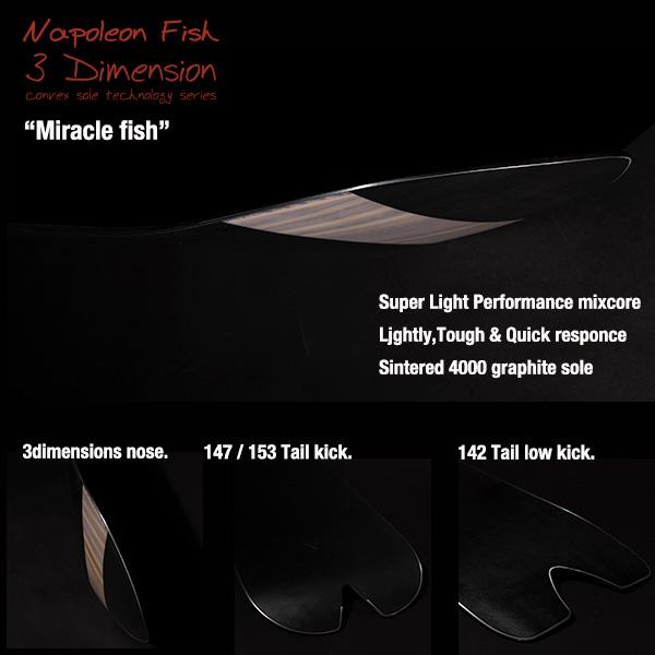 23/24モデル】T.J Brand original Napoleon Fish 2024モデル / ティー