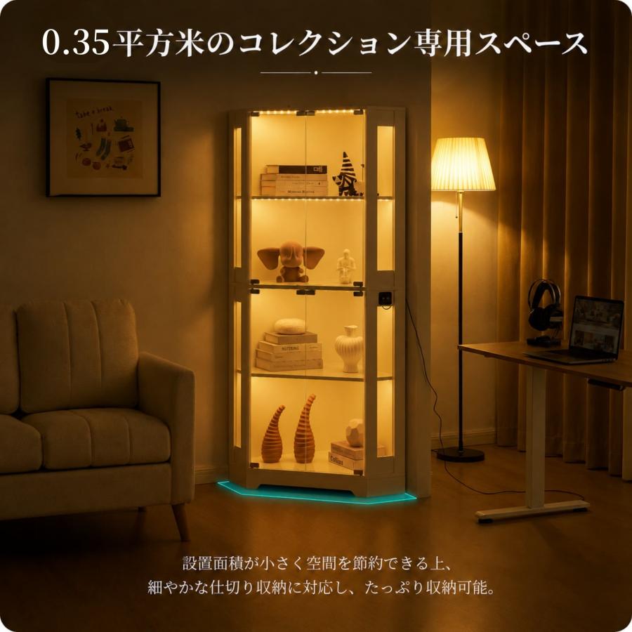 BTM 【5のつく日☆全品5%OFF】コレクションケース コーナー