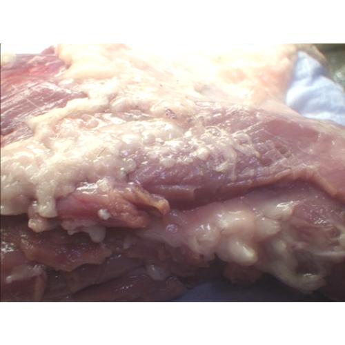 〔ジビエ〕たぬき肉ブロック骨付き【国産】（肩ロース/後足) 1Kg