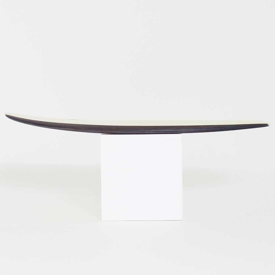 carver（カーバー） 新品未使用 Carver Proteus Surfboard EPS