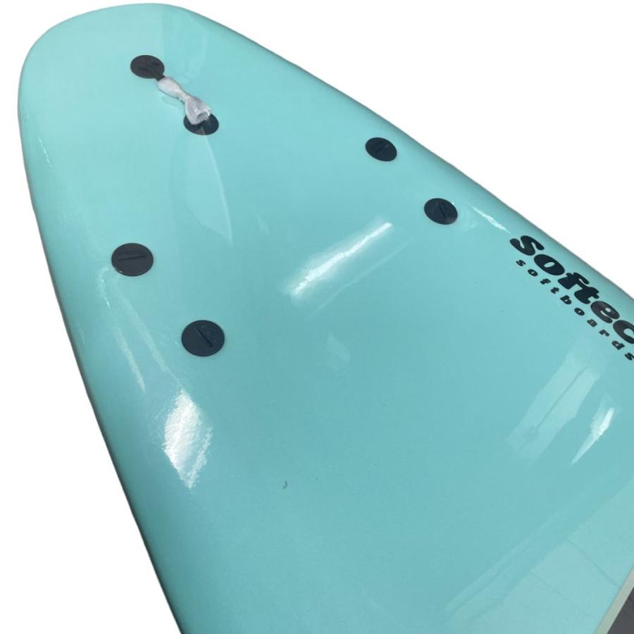 SOFTECH 即納 送料無料 SKY BROWN SOFTBOARD スカイブラウン