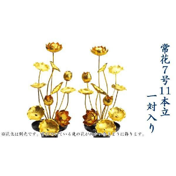 常花　金蓮華7号11本立（一対）｜butudan｜04