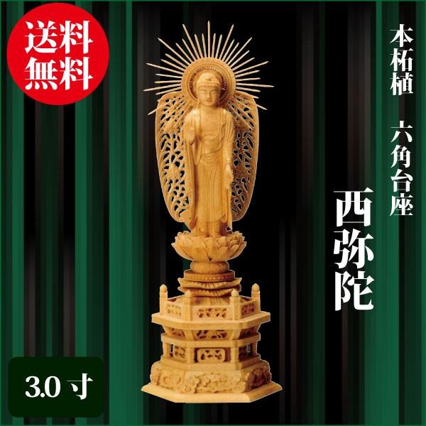 売れ筋  【M2C5Z6ENBKC】 限定デザイン