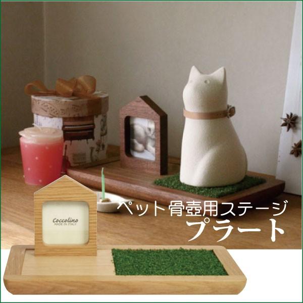 今季注目  【MOAVNMZGOZF】 限定デザイン