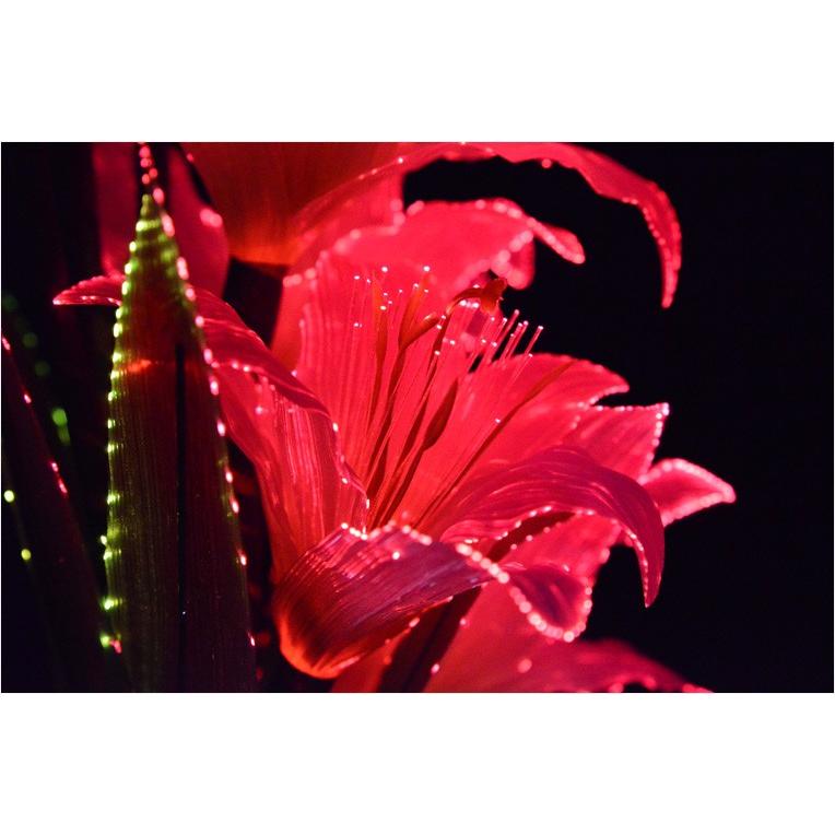 光ファイバー使用の光る仏花【7色に変化する煌めくお花 テルミナ 光ファイバー使用の光る仏花【7色に変化する煌めくお花 テルミナ
