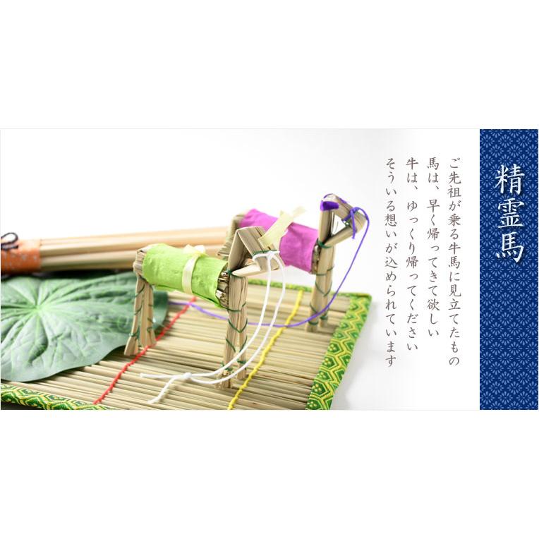 お盆飾り【格安・真菰（まこも）4点セット】お盆用品 : 仏壇・位牌